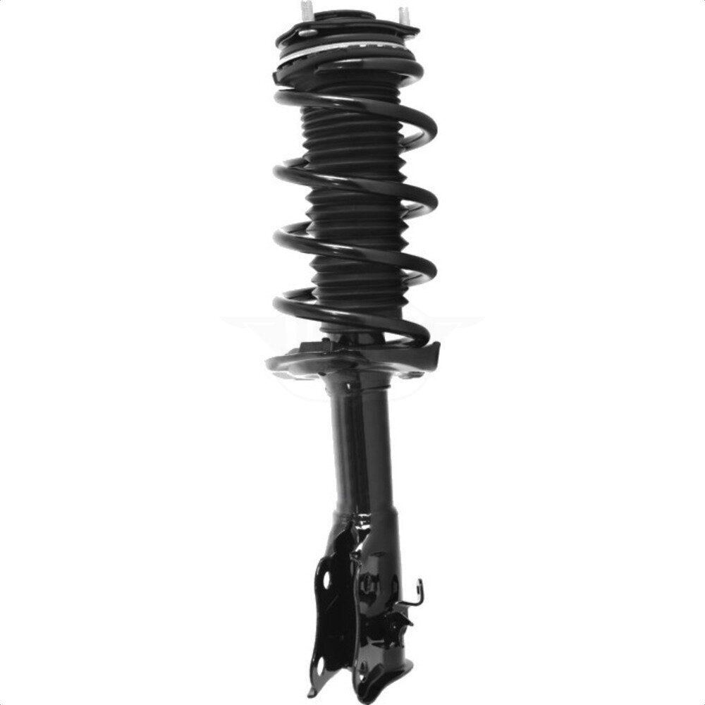 Ensemble de ressort hélicoïdal de jambe de force de Suspension avant gauche pour Honda Civic 78A-11813