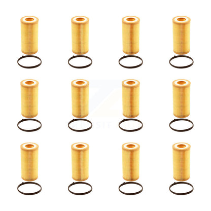 Filtre à huile à cartouche moteur (paquet de 12) pour Volkswagen Jetta Passat Golf Audi A4