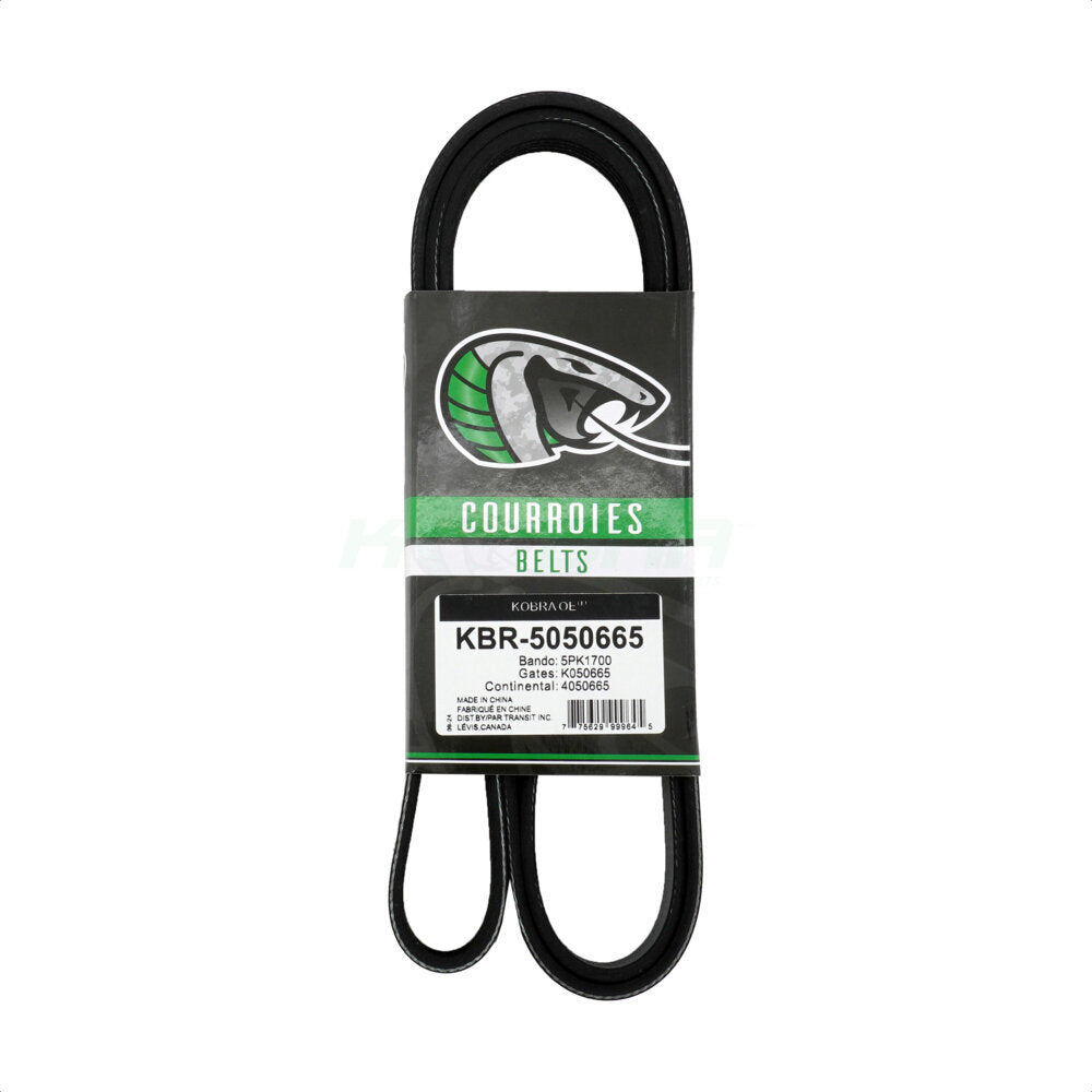 Courroie serpentine d'entraînement principal, pour Buick Encore Saturn SL2 Chevrolet Trax SC2 SW2 S