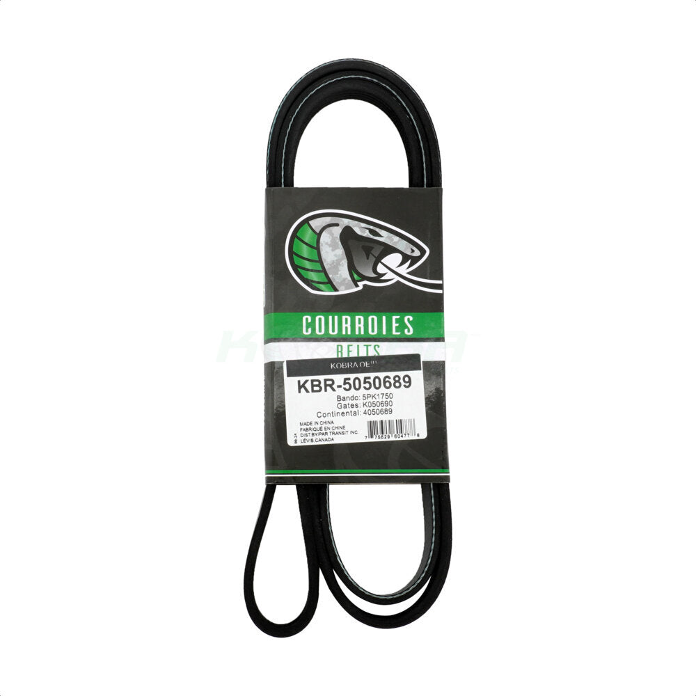 Courroie serpentine d'entraînement principal pour Chevrolet GMC Equinox Terrain Colorado Canyon AT