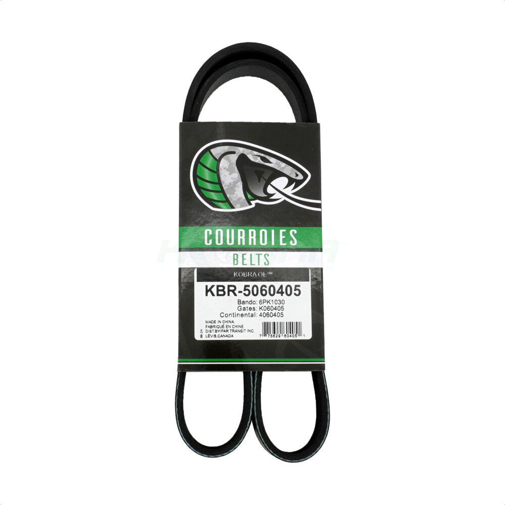 Courroie Serpentine pour Ford Escape Volkswagen Jetta Golf Mini Cooper Passat Beetle