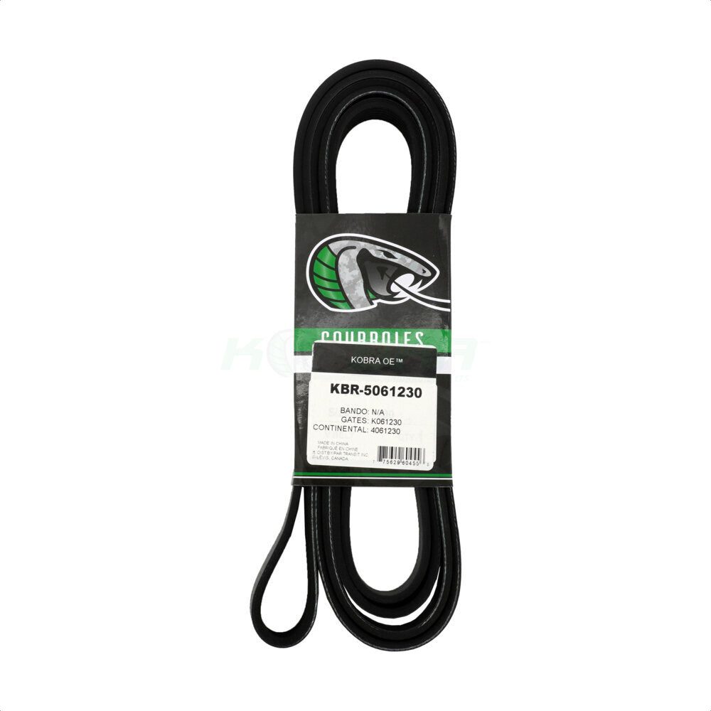 Courroie serpentine de climatisation, pour Ford E-350 Super Duty E-250 E-150 E-450