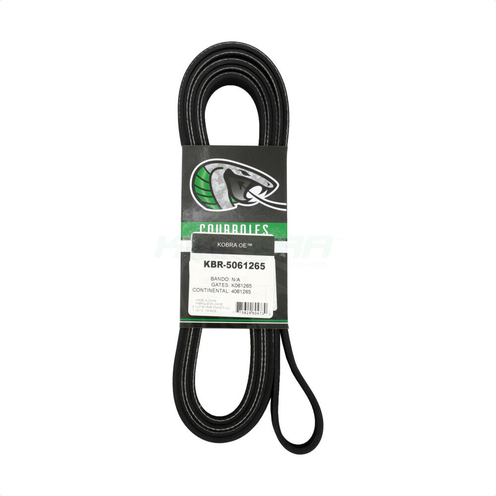 Courroie serpentine d'entraînement principal, pour Ford F-350 Super Duty F-250 E-350 E-450 F-550