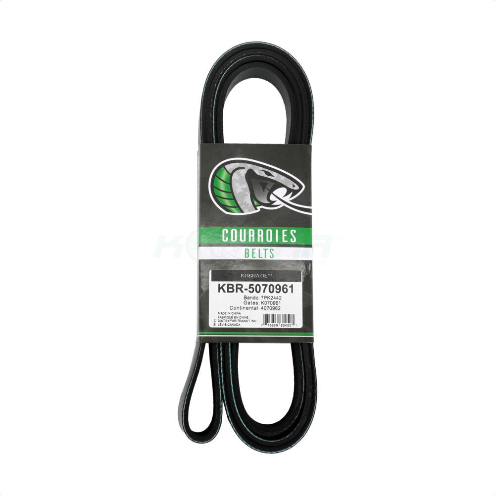 Courroie serpentine d'entraînement principal, pour Nissan TITAN INFINITI QX80 Armada NV2500 XD QX56