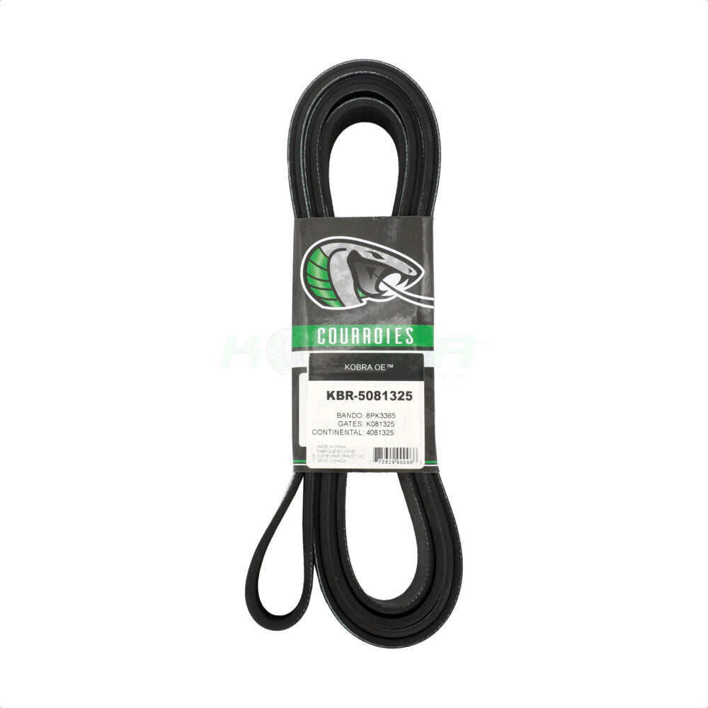 Courroie serpentine d'entraînement principal, pour Ford F-350 Super Duty F-250 F-550 F-450 6,0 l